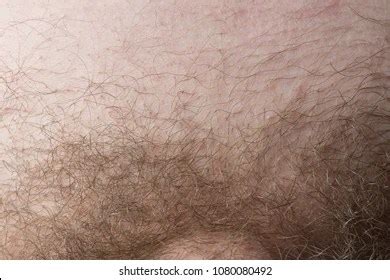 Pubic Hair Images – Browse 2,797,334 Stock Photos, Vectors,。